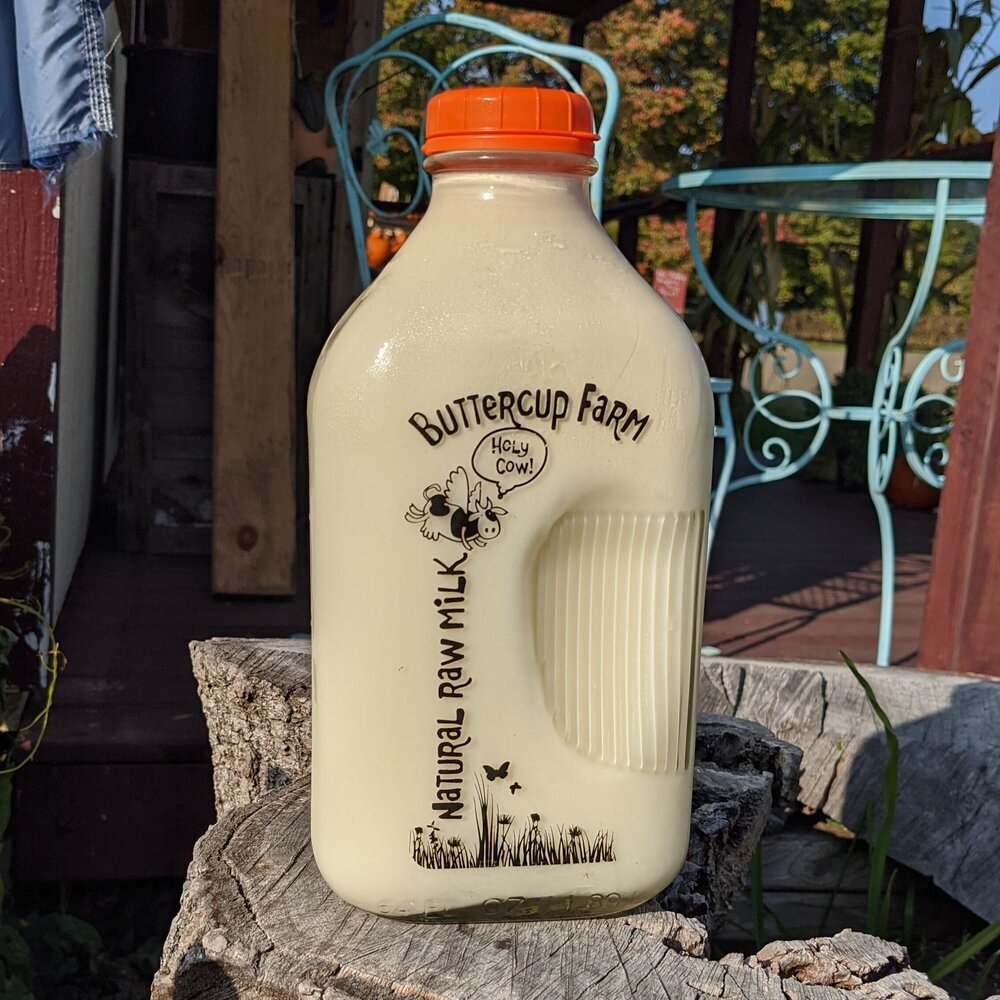 Half Gallon - Raw Cow Milk — Cold Spring Farm