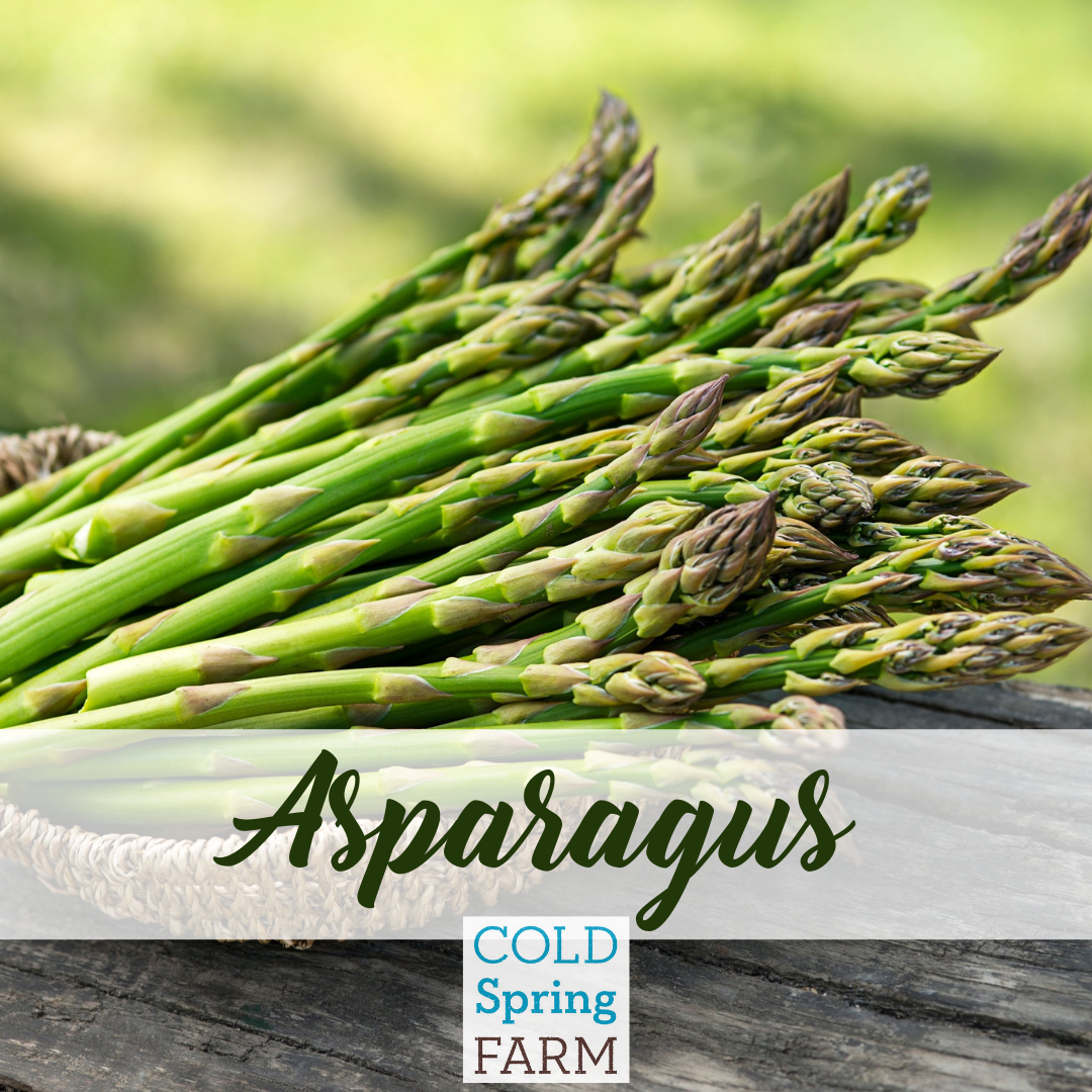 Farm Stand Photos - Veggies-24.png