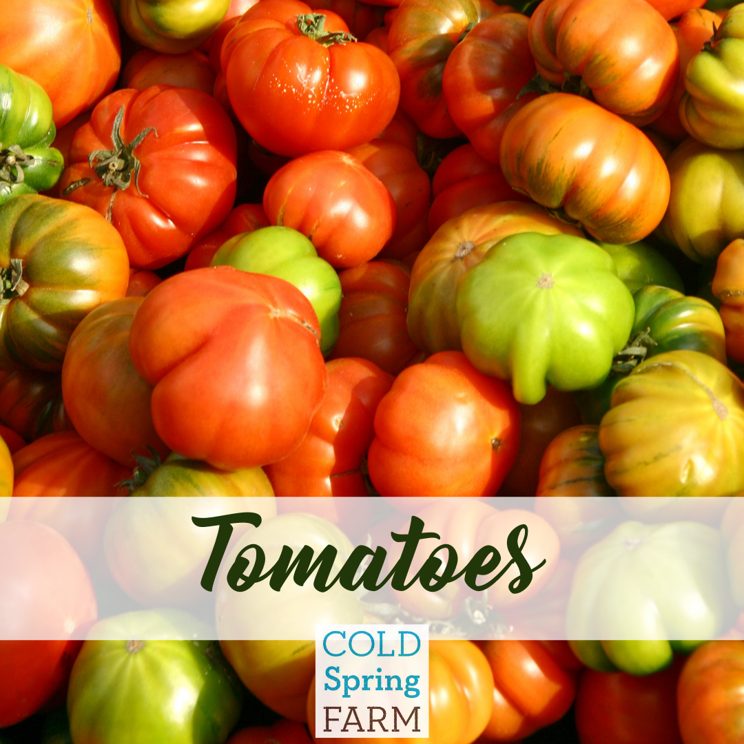 Farm Stand Photos - Veggies-38.png