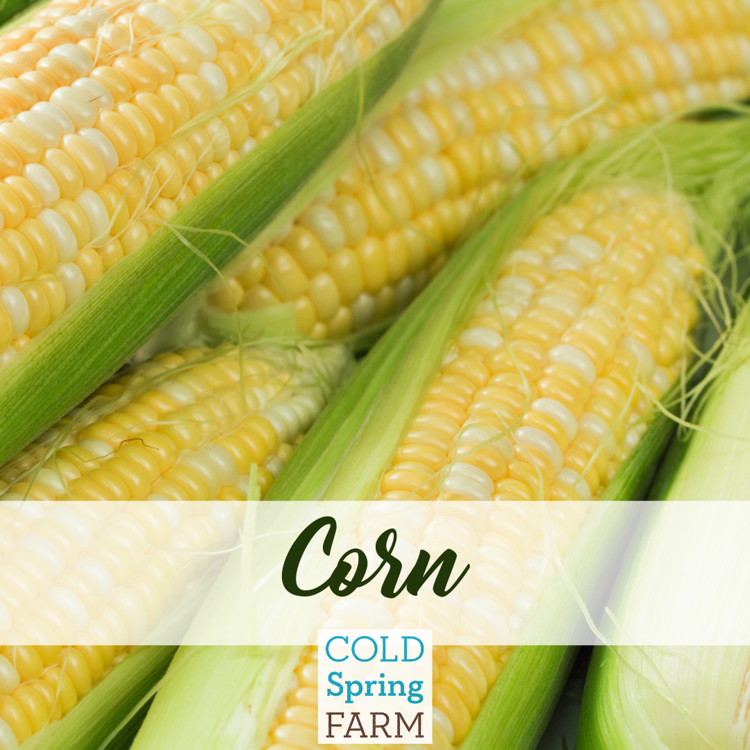 Copy of Farm Stand Photos - Veggies-5.png