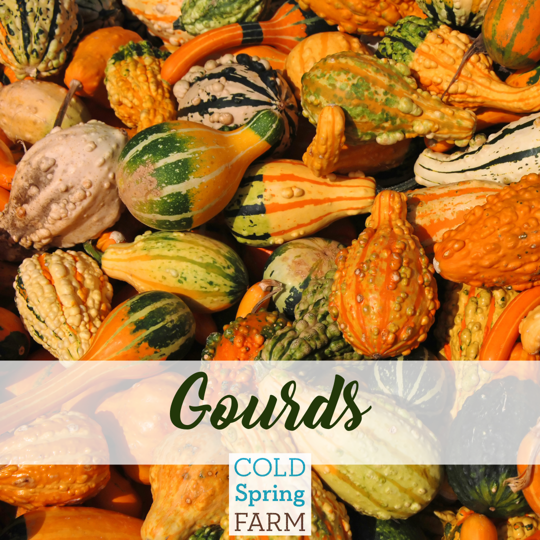 Copy of Farm Stand Photos - Veggies-7.png