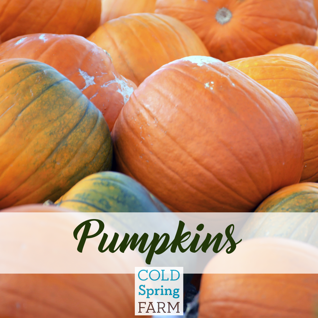 Copy of Farm Stand Photos - Veggies-12.png