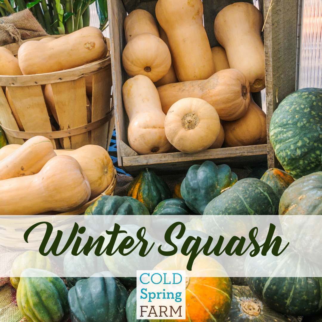 Copy of Farm Stand Photos - Veggies-15.png