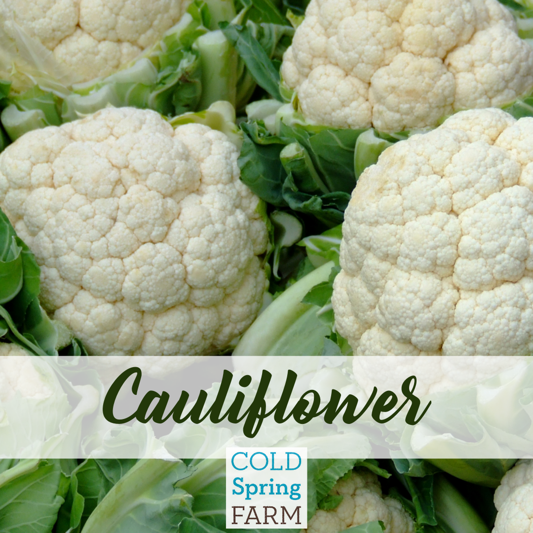 Farm Stand Photos 2  (2).png
