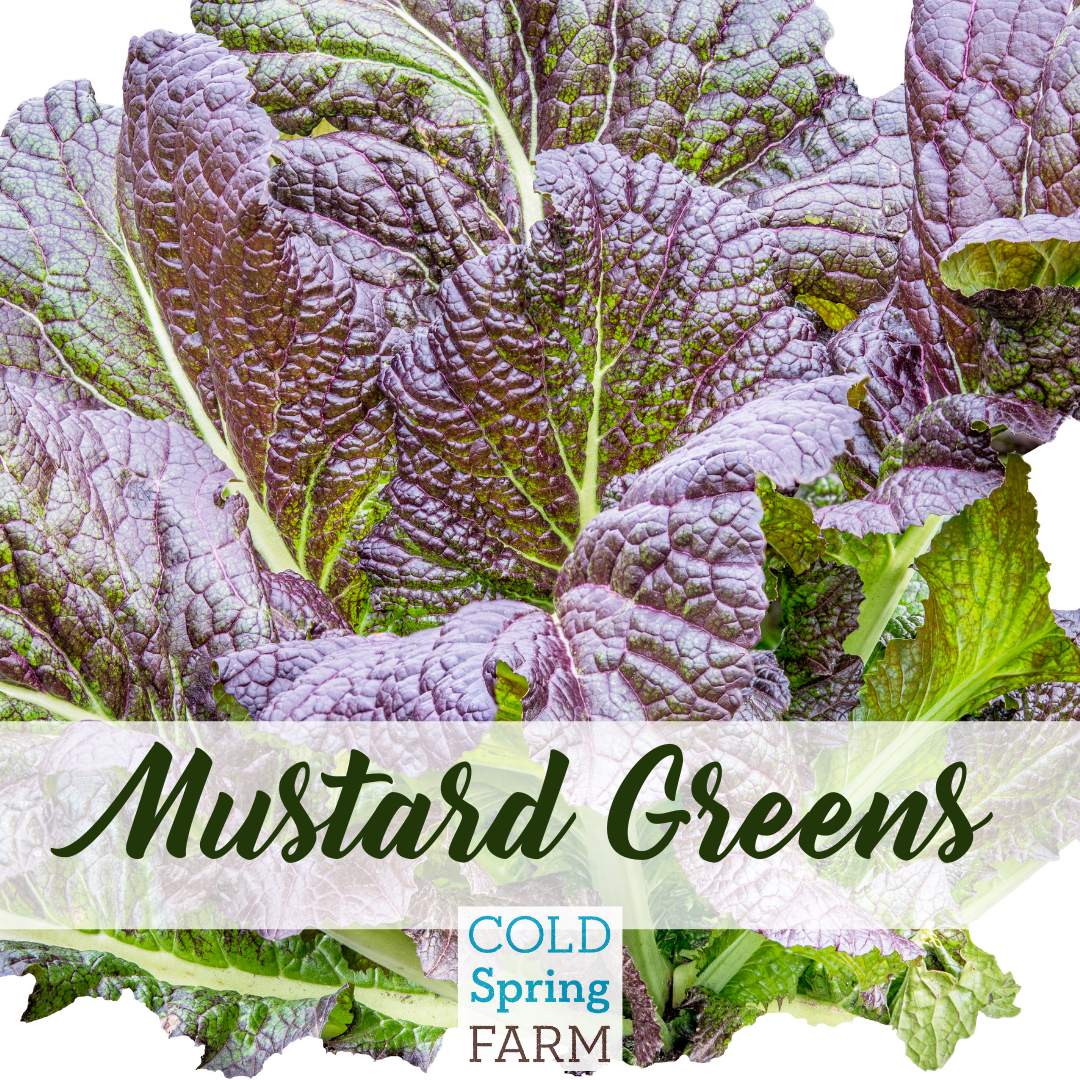 Farm Stand Photos 1.png