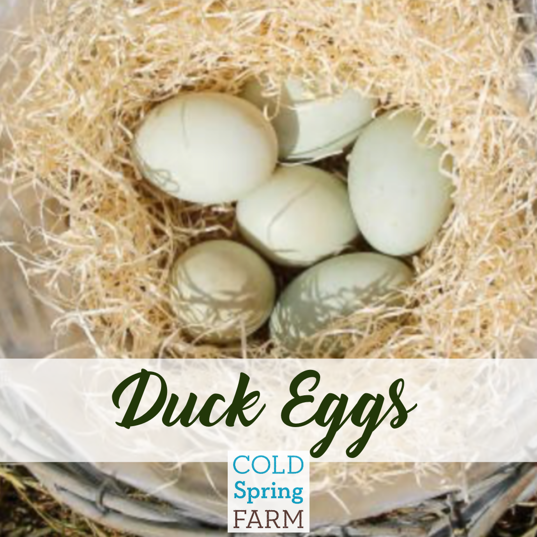 Duck eggs (limited availability)