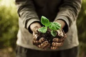 The Future of Farming