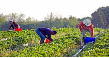 STONE TO TABLE BY JESS STONE | PUBLISHED 1/21/2024 