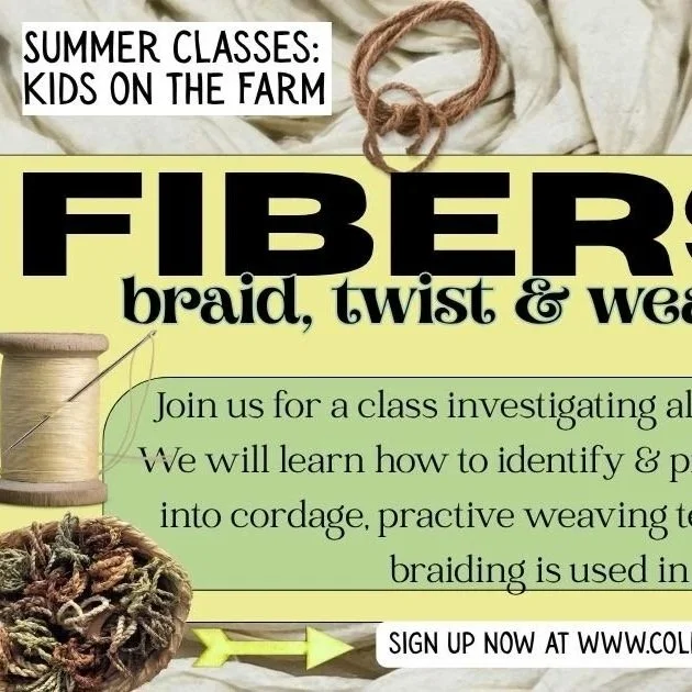 fibers.jpg