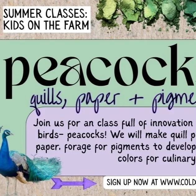 peacocks.jpg