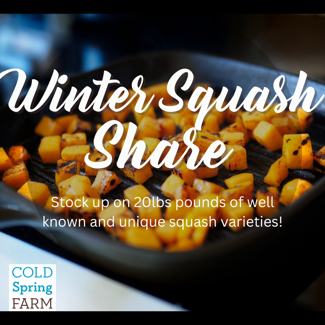 winter squash share2.png