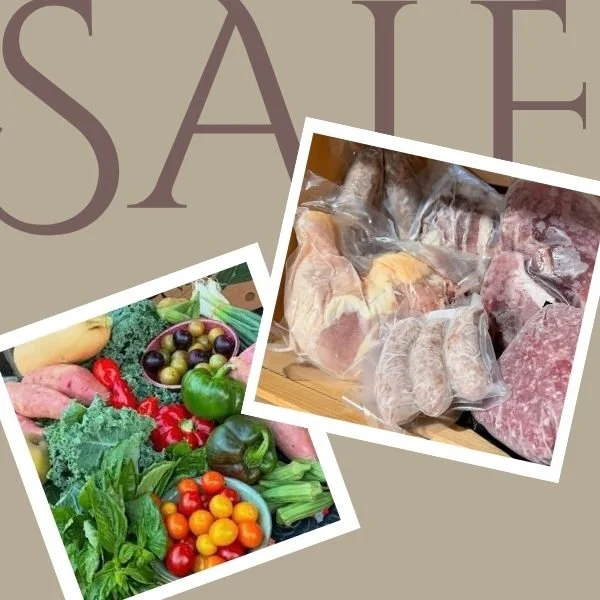 SALE (1).jpg