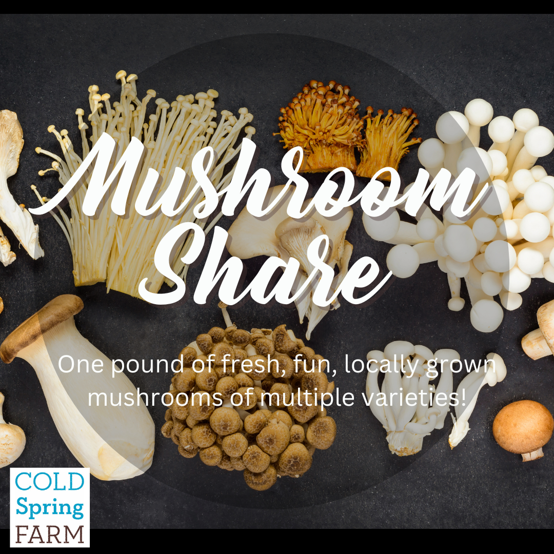 Mushroom share.png