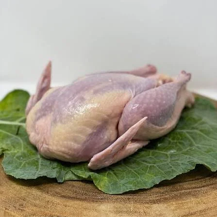 pheasant.jpeg