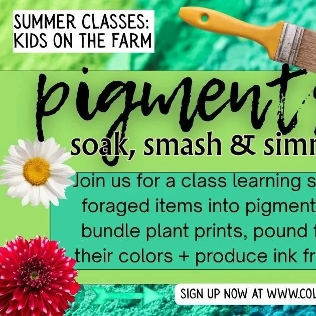pigments.jpg