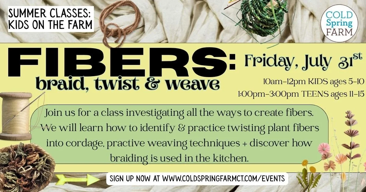 fibers.JPEG