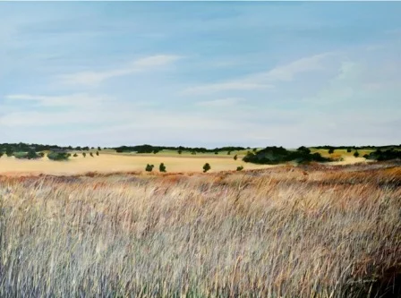 Summer Field