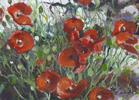 Red Poppies