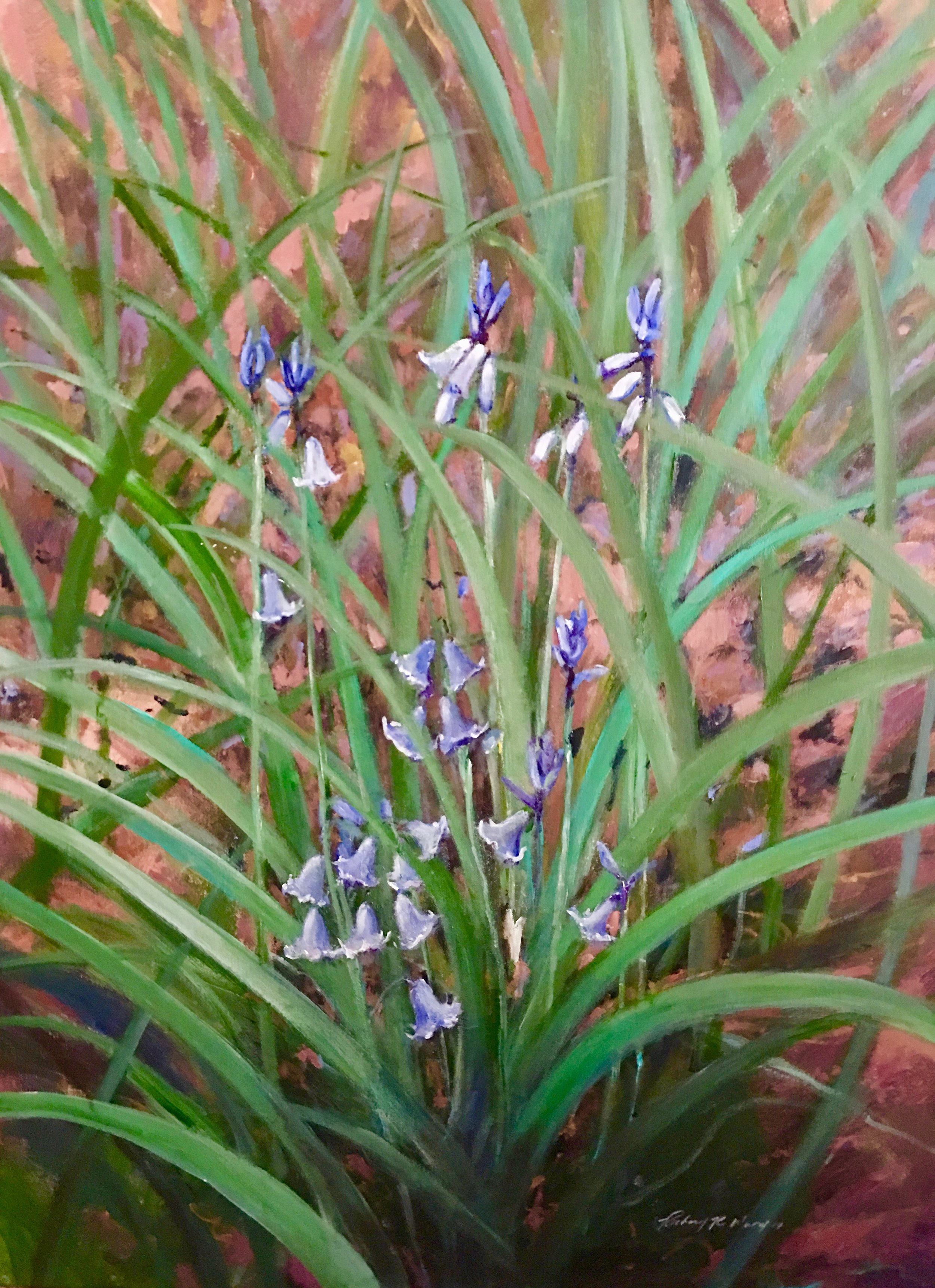 Bluebells