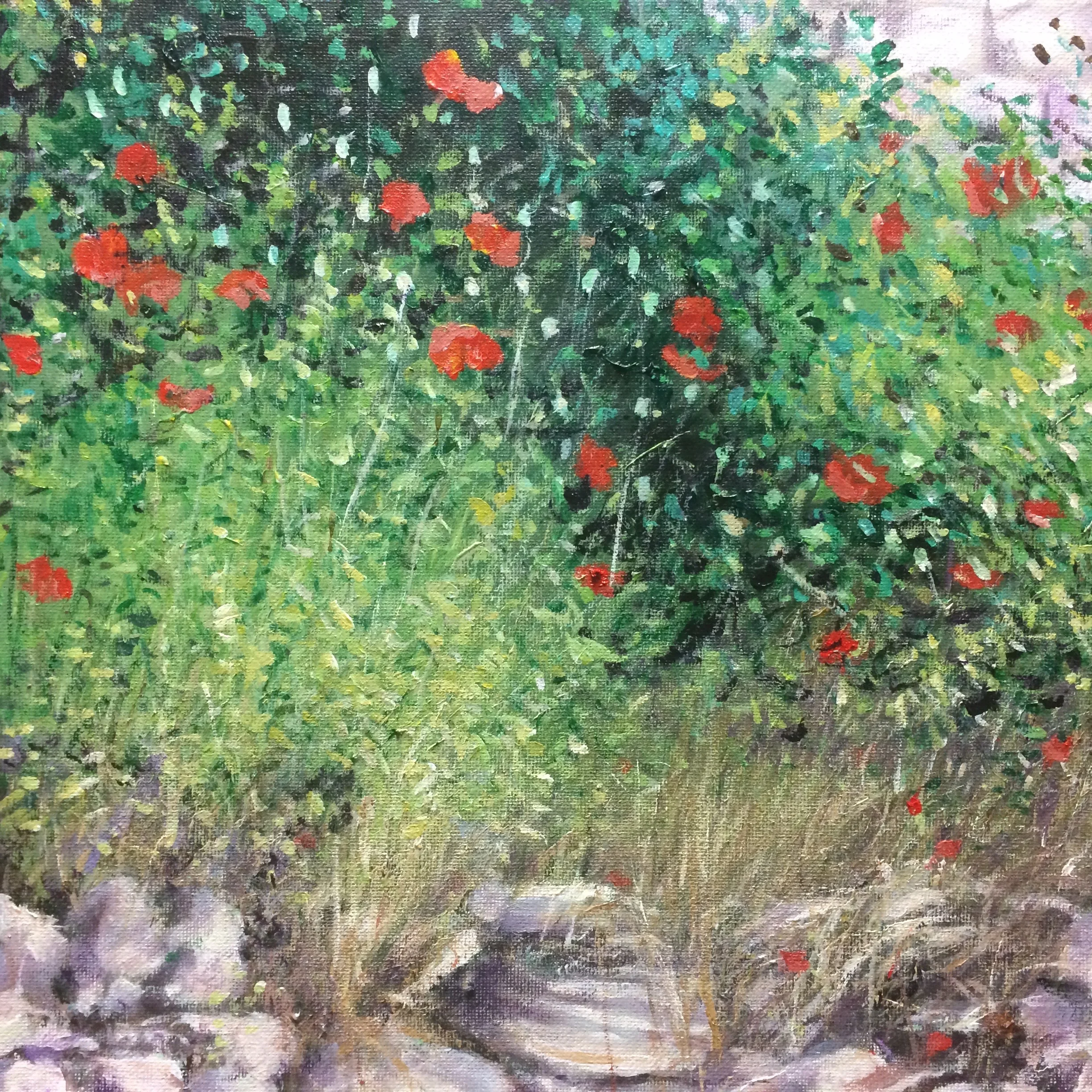 Les Coquelicots sur le Mur de Pierre