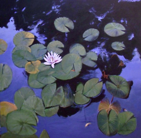 Le Nymphaea