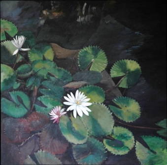 Water Lilies