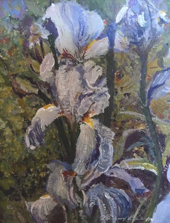 Iris at Chelsea