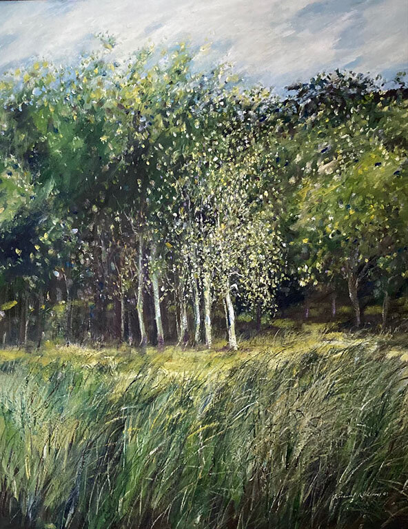 Copse of Birches