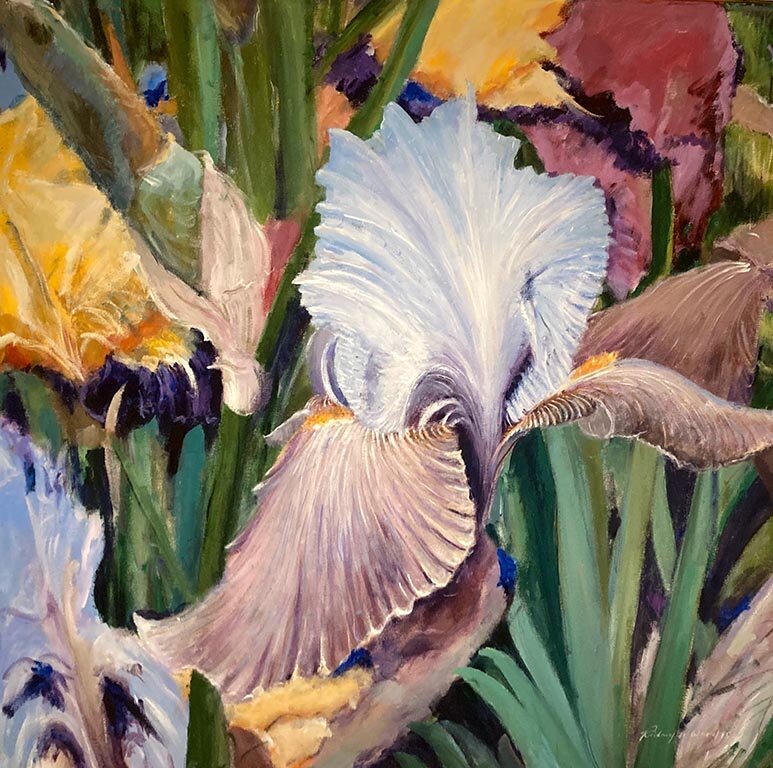 Chelsea Iris