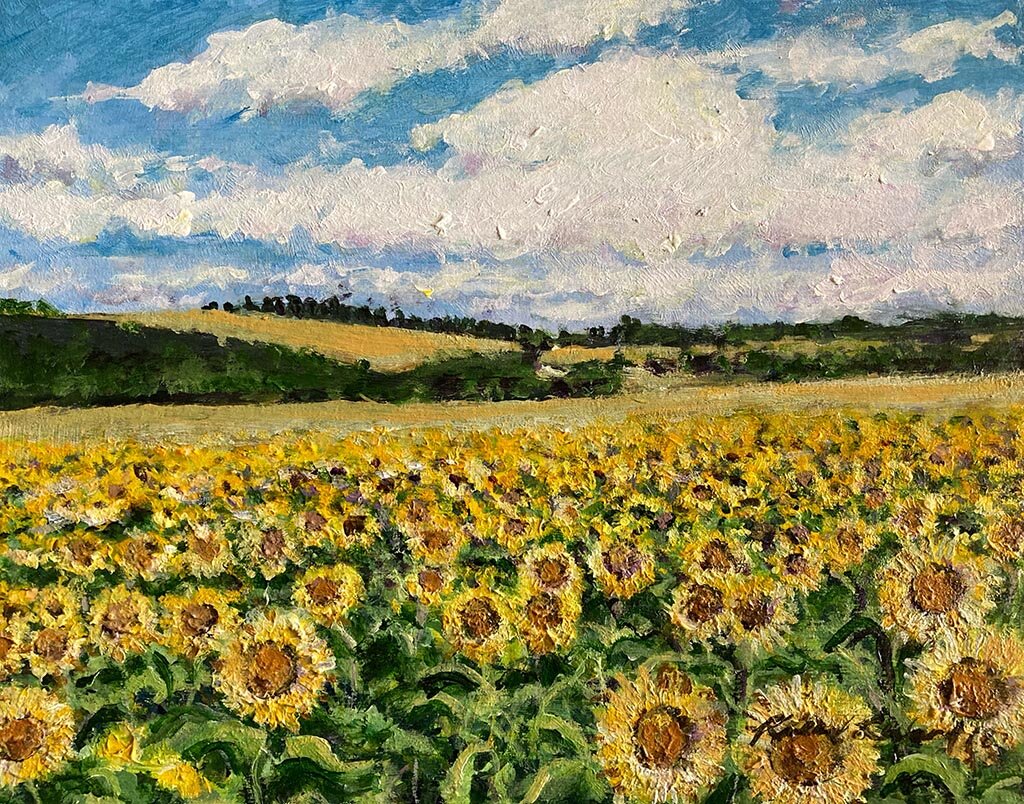 Sunflowers, Charente 