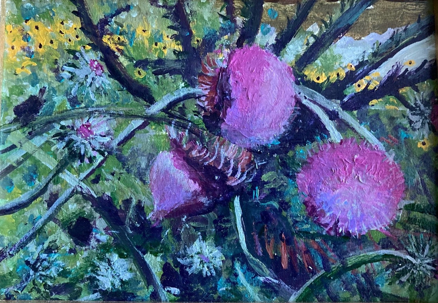 Thistle Study