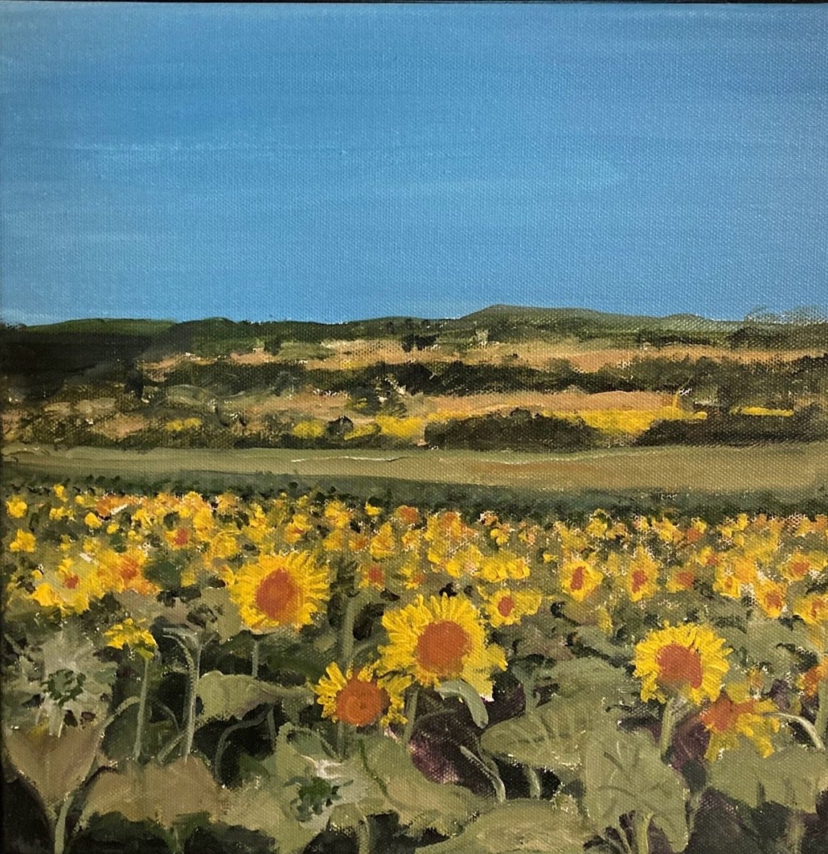 Sunflower Vista