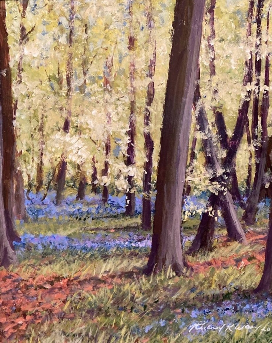 Bluebell Carpet