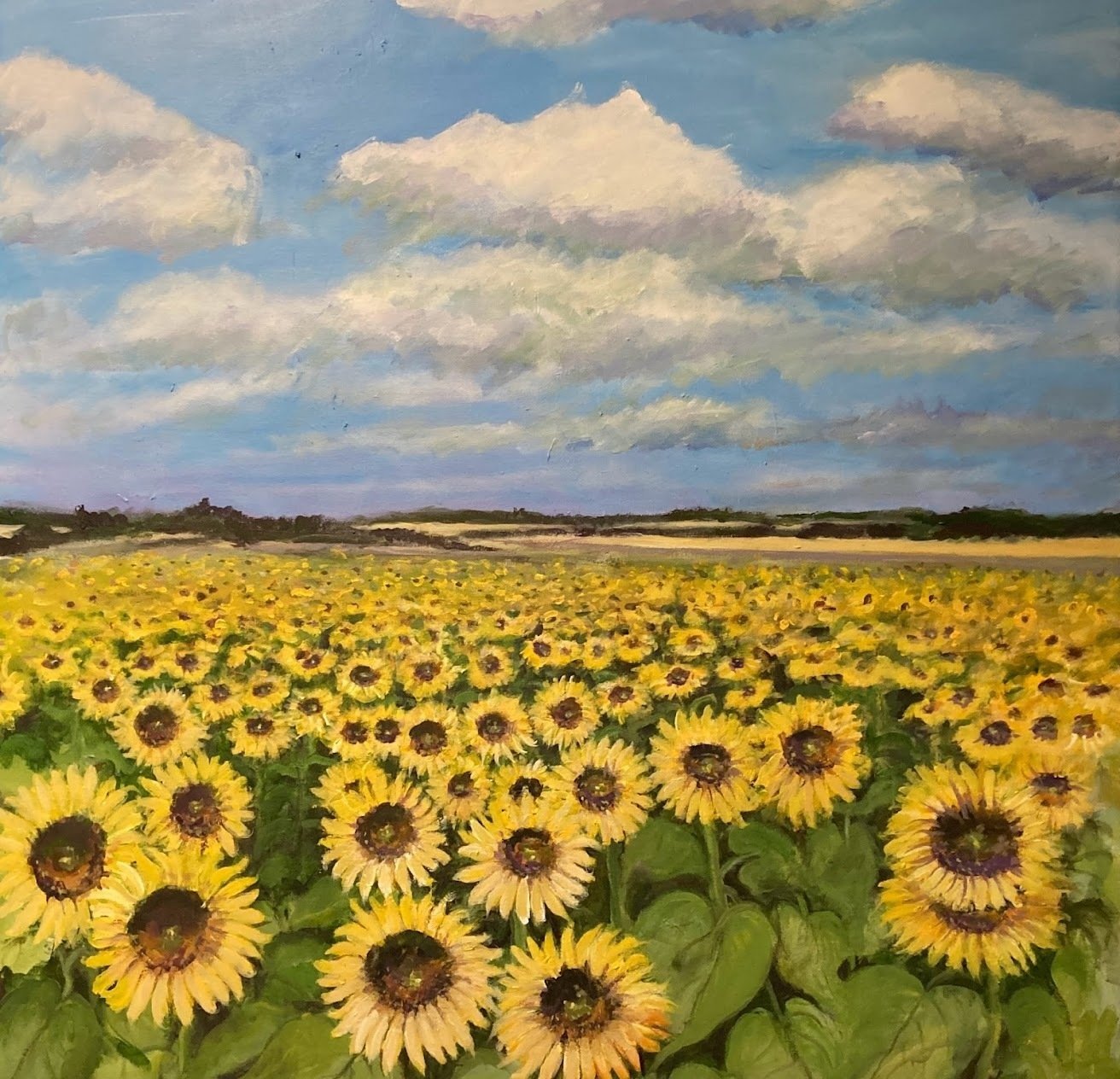 The Audience—Sunflowers