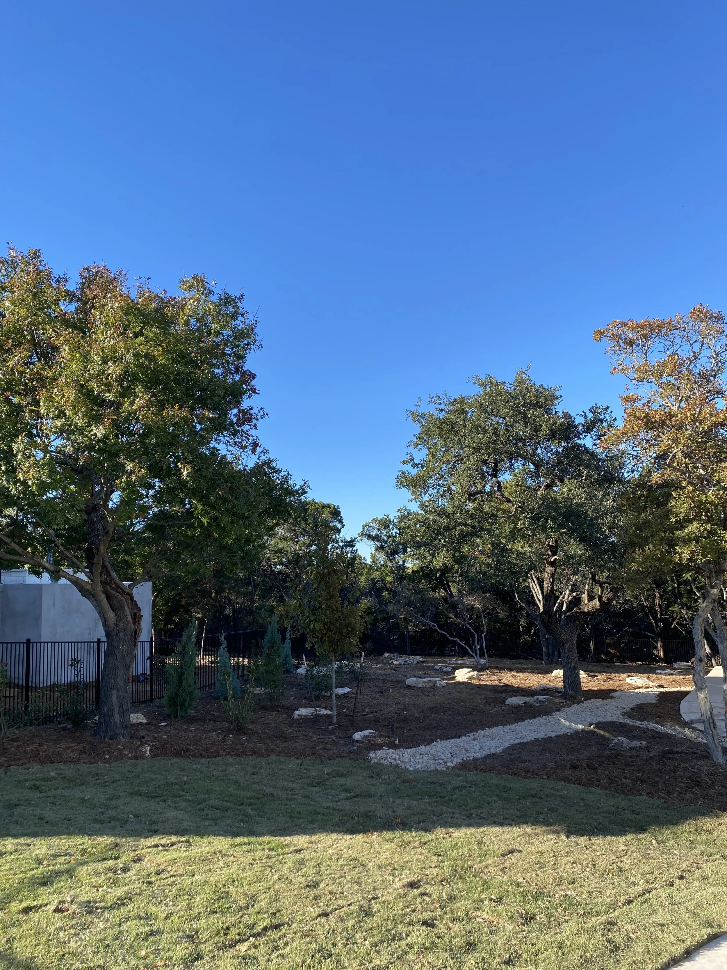 Native Mulch Area with Dry River Bed, Trees, and Irrigation.jpg
