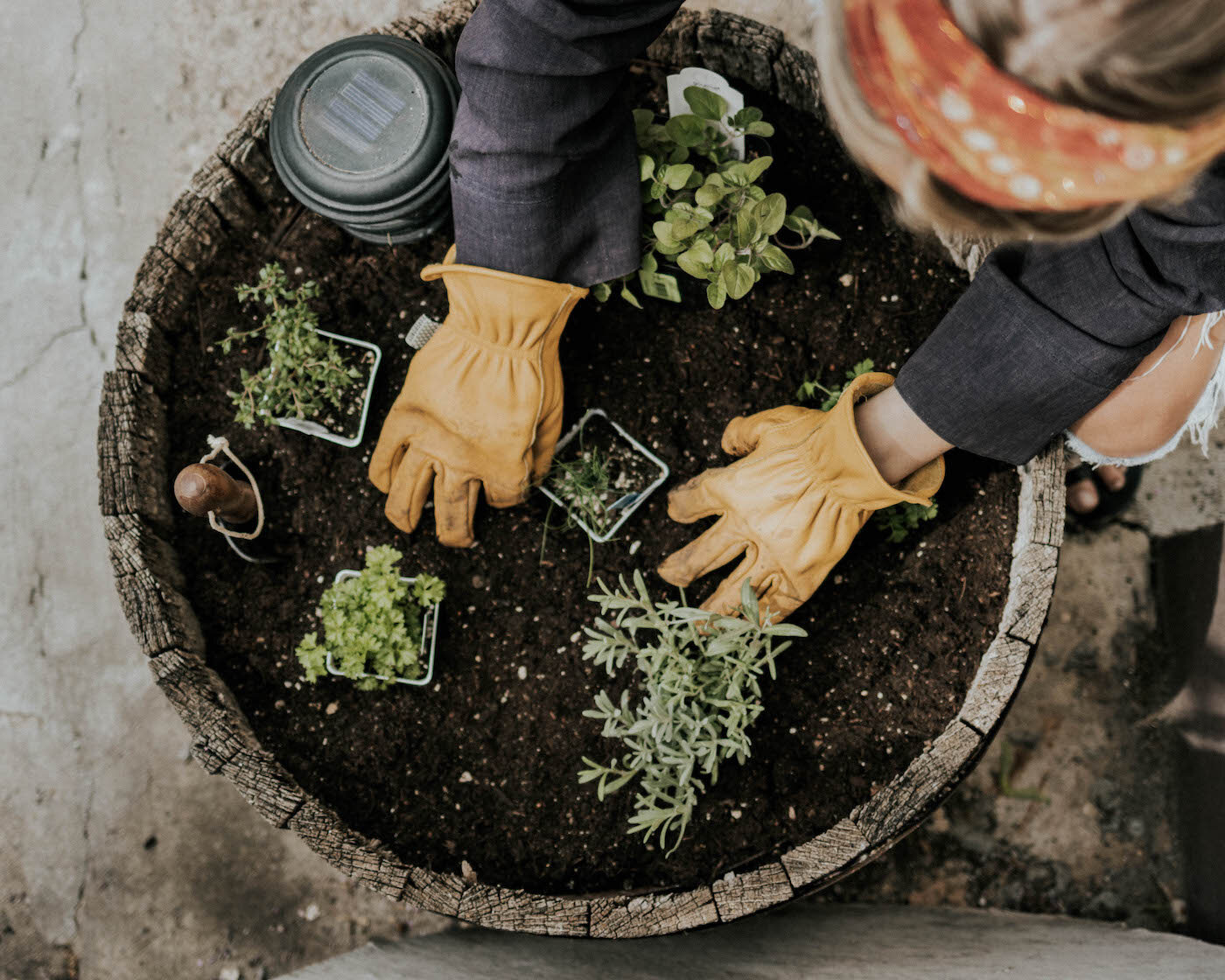 container gardening woman.jpeg