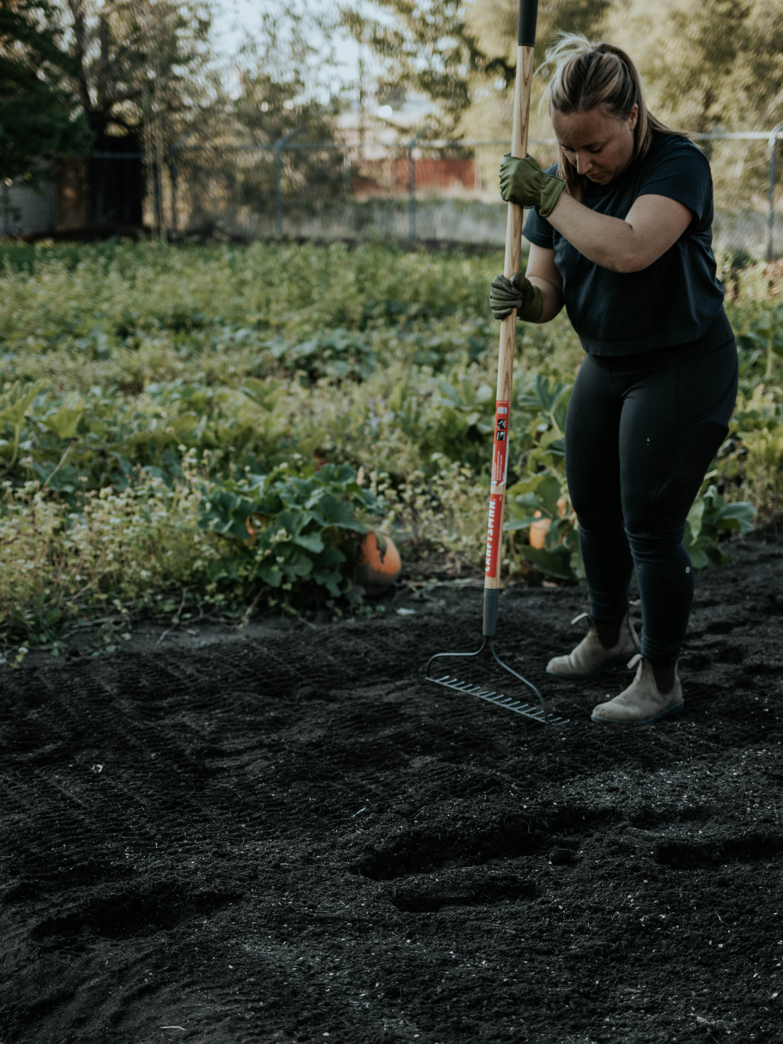 How to Install a Native Wildflower Meadow - GATHER & GROW