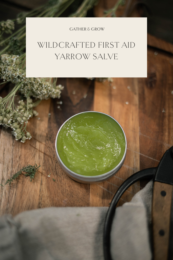 Wildcrafted first aid yarrow salve.png