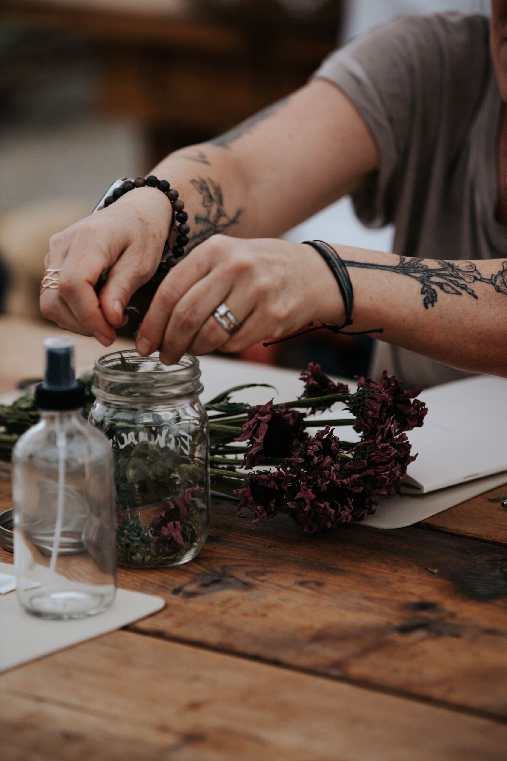 herbalism apprenticeship class.JPG