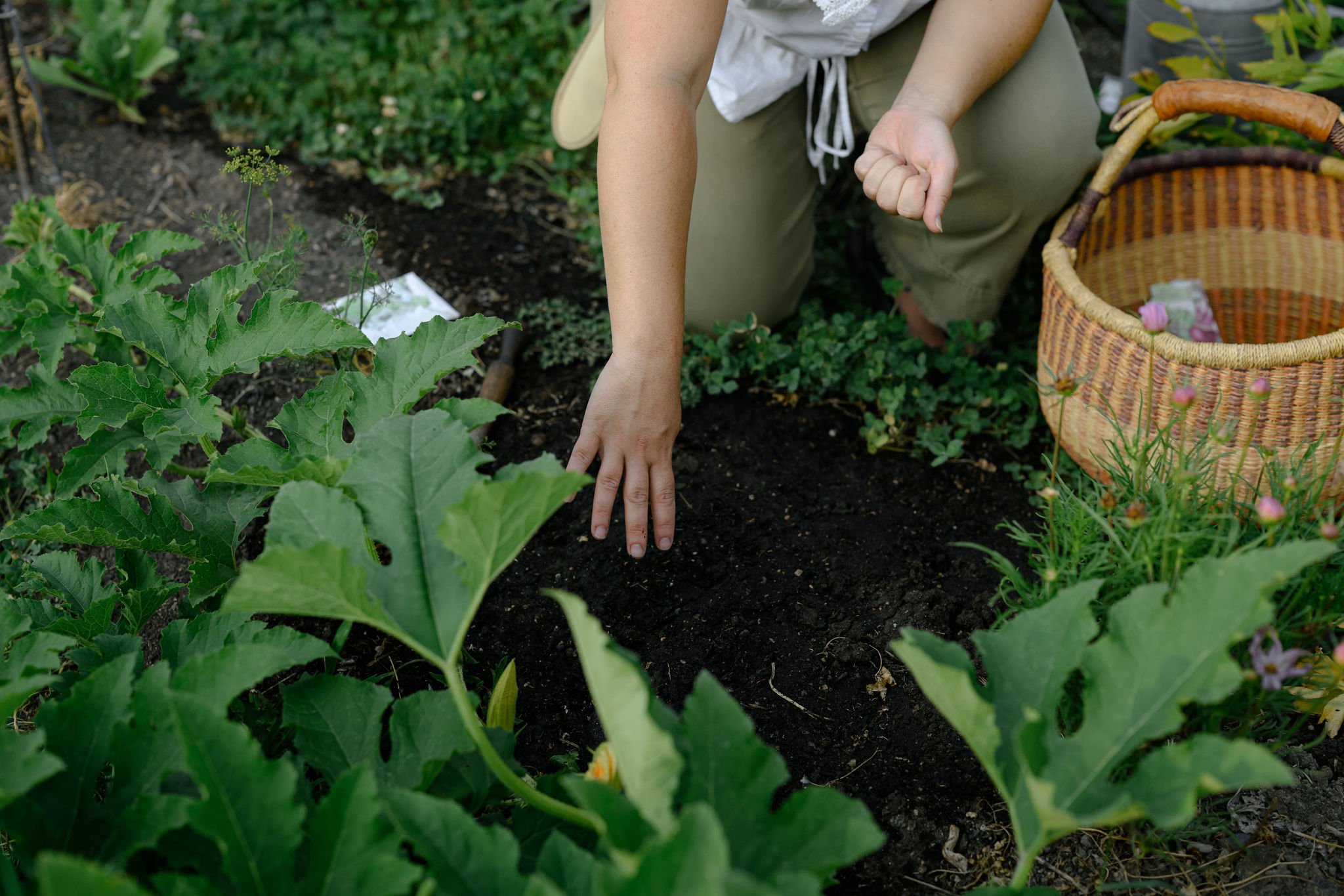 EBP080124-GatherandGrow(37).jpg