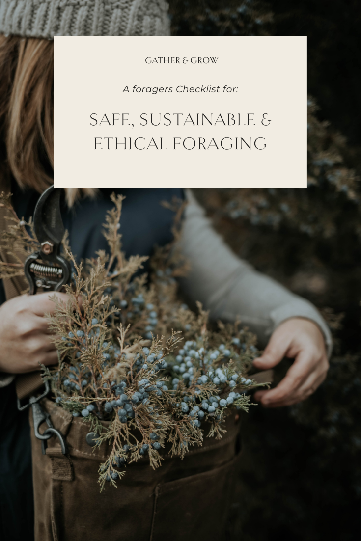 A Forager’s Checklist for Safe, Sustainable & Ethical Foraging - GATHER ...