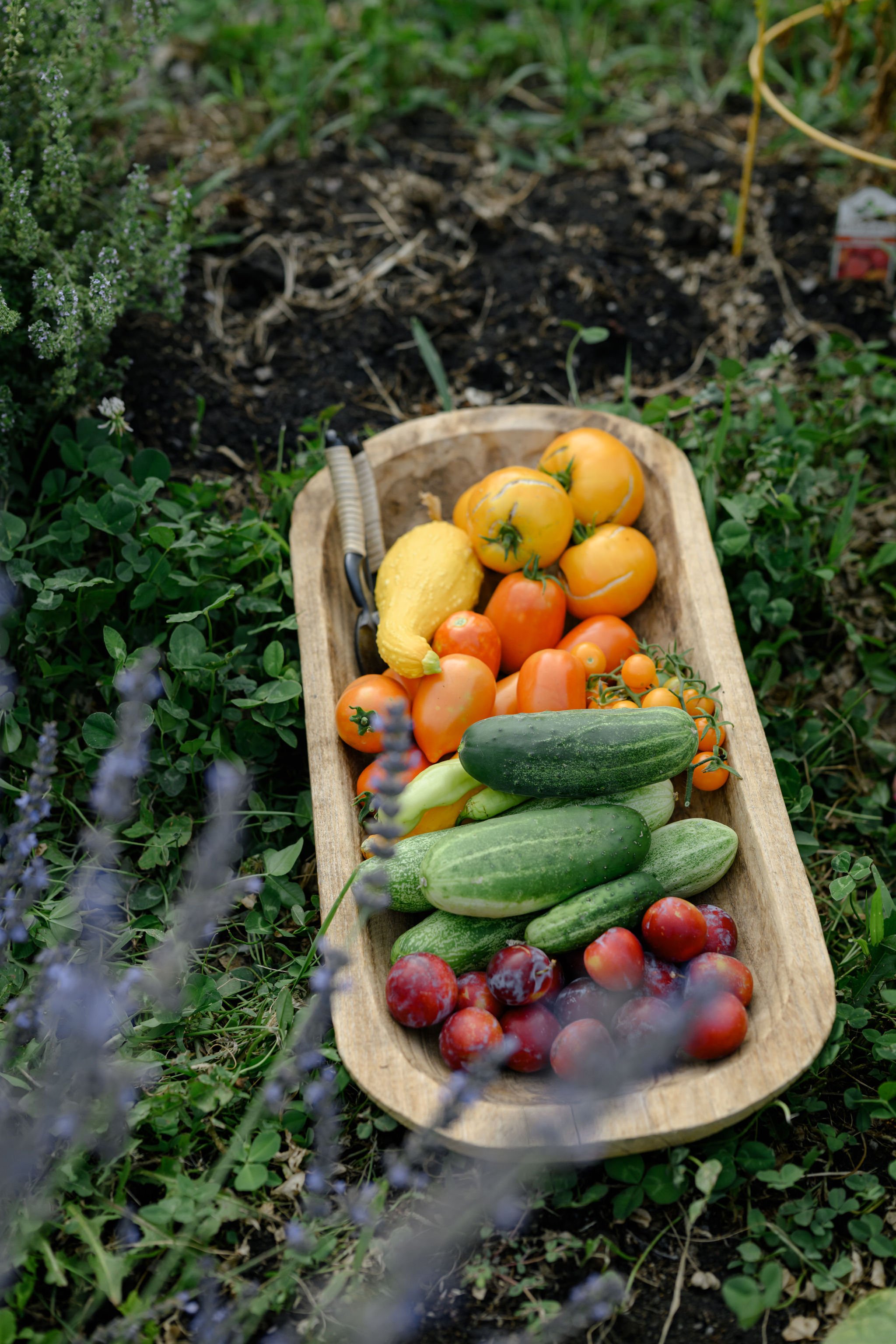 EBP080124-GatherandGrow(115).jpg