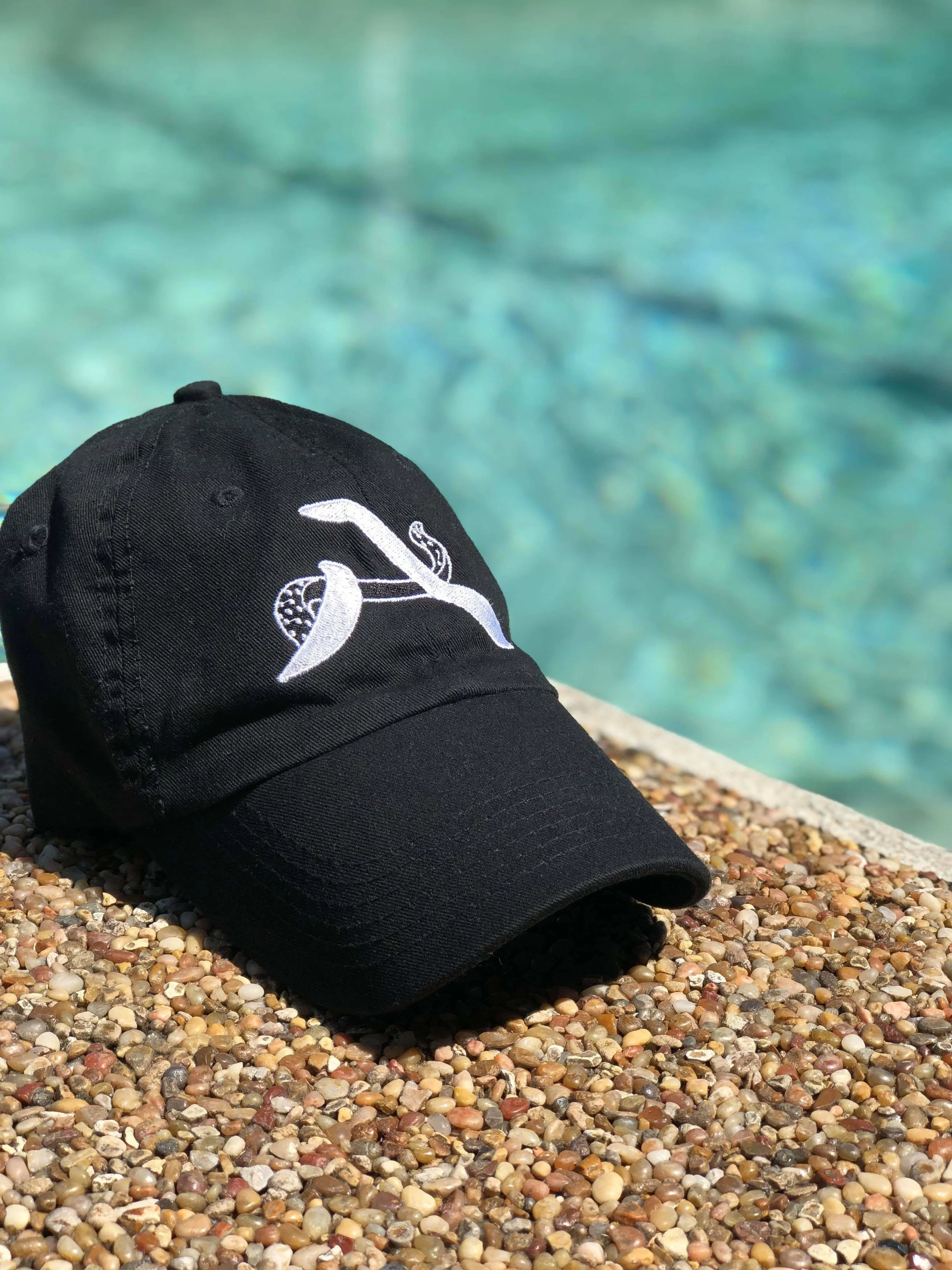 Eight Legs (Black &amp; White)