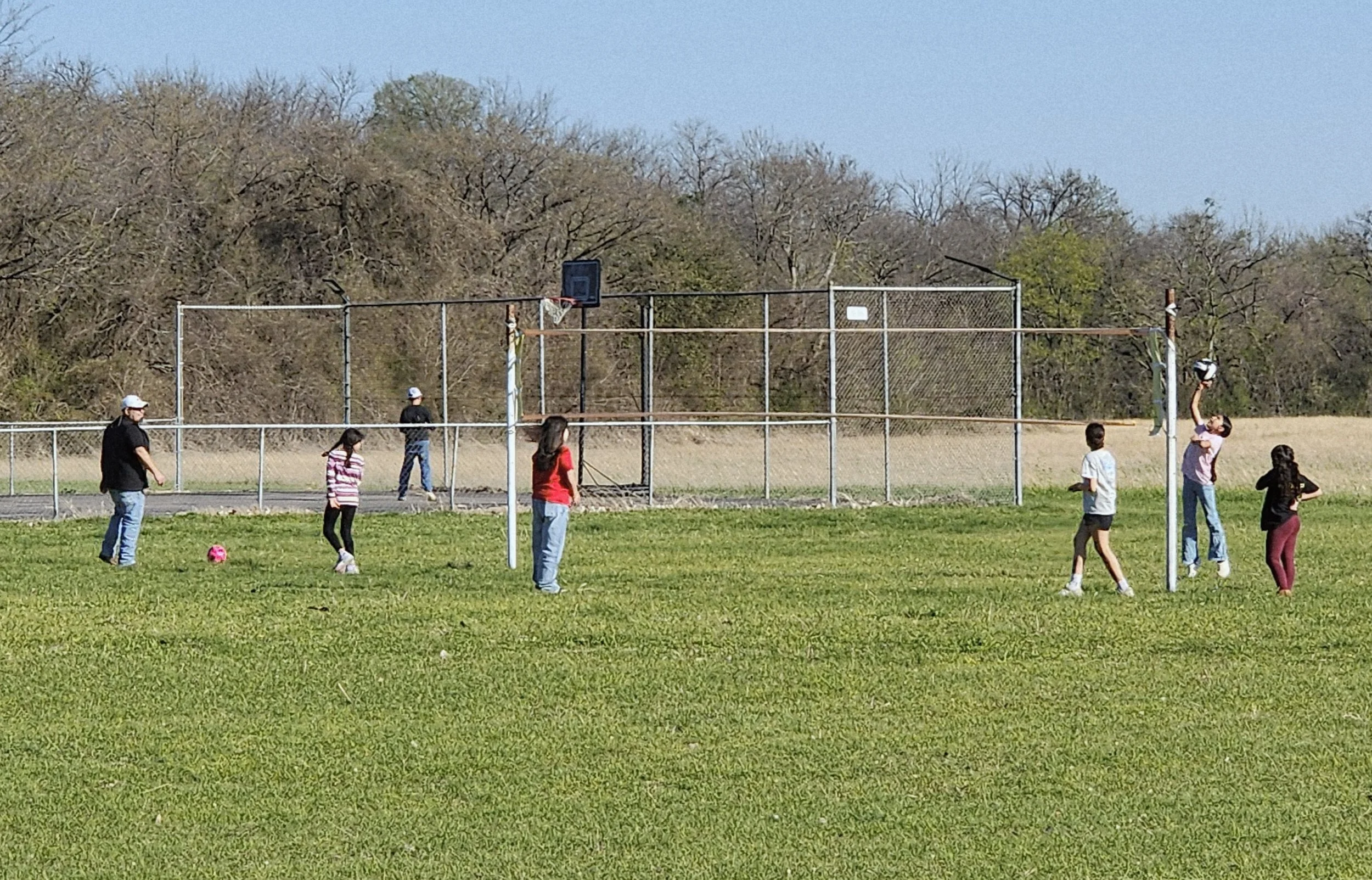 20260313_173121.jpg