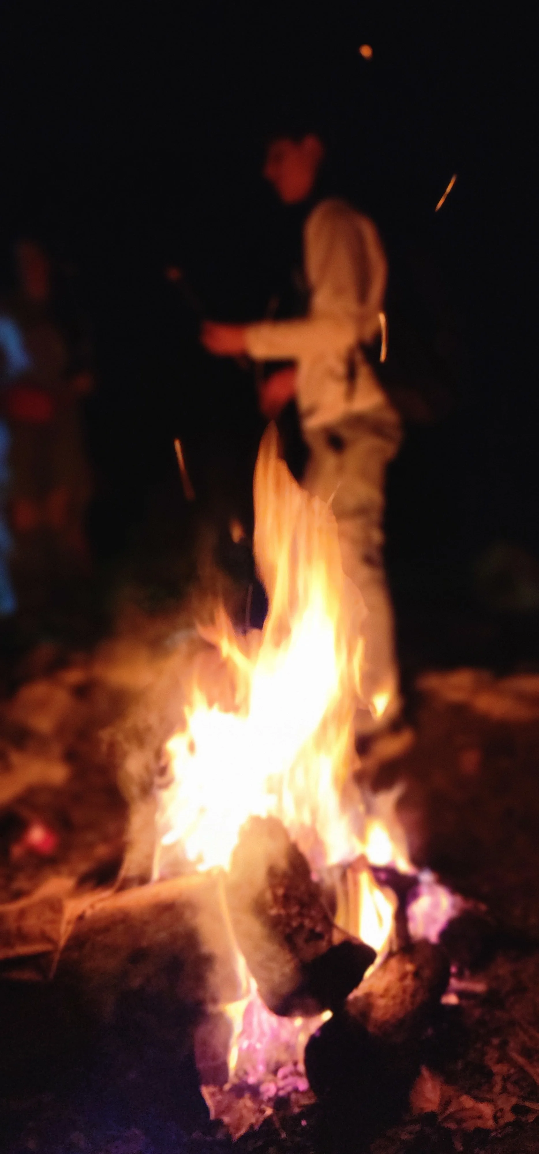 20260313_222303.jpg