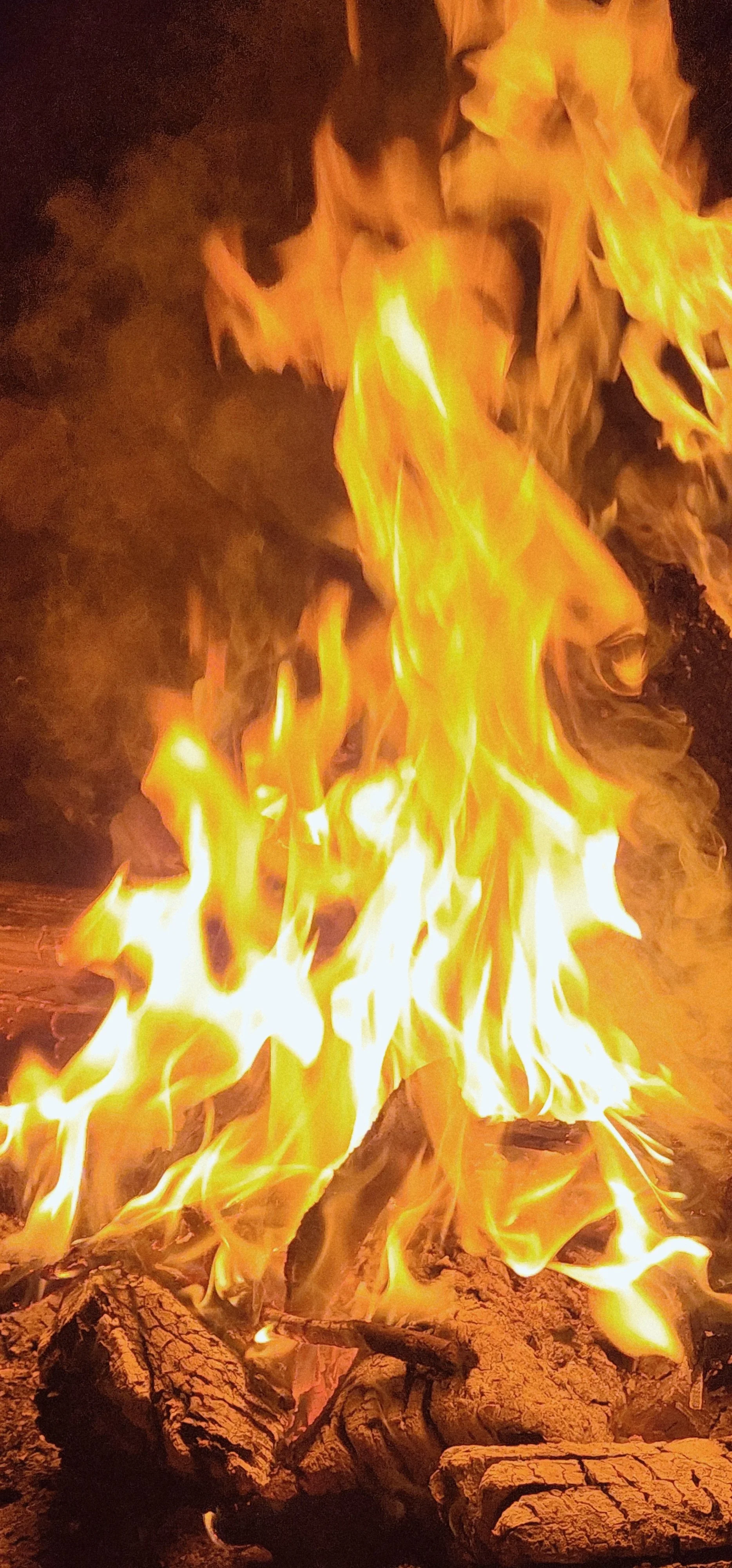 20260313_225445.jpg