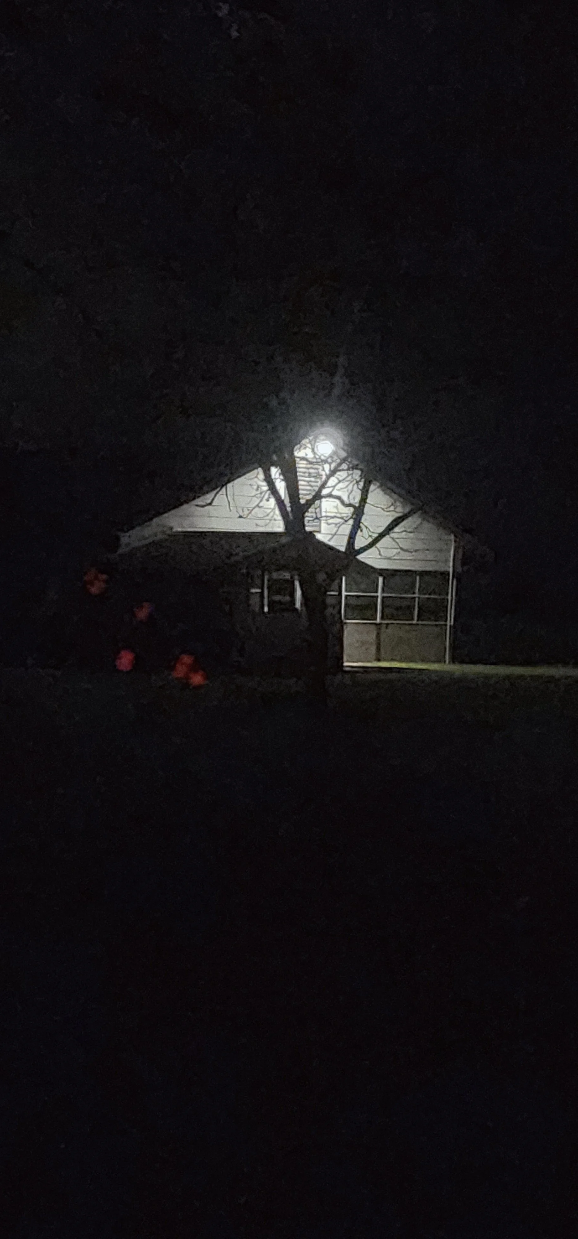 20260314_063655.jpg