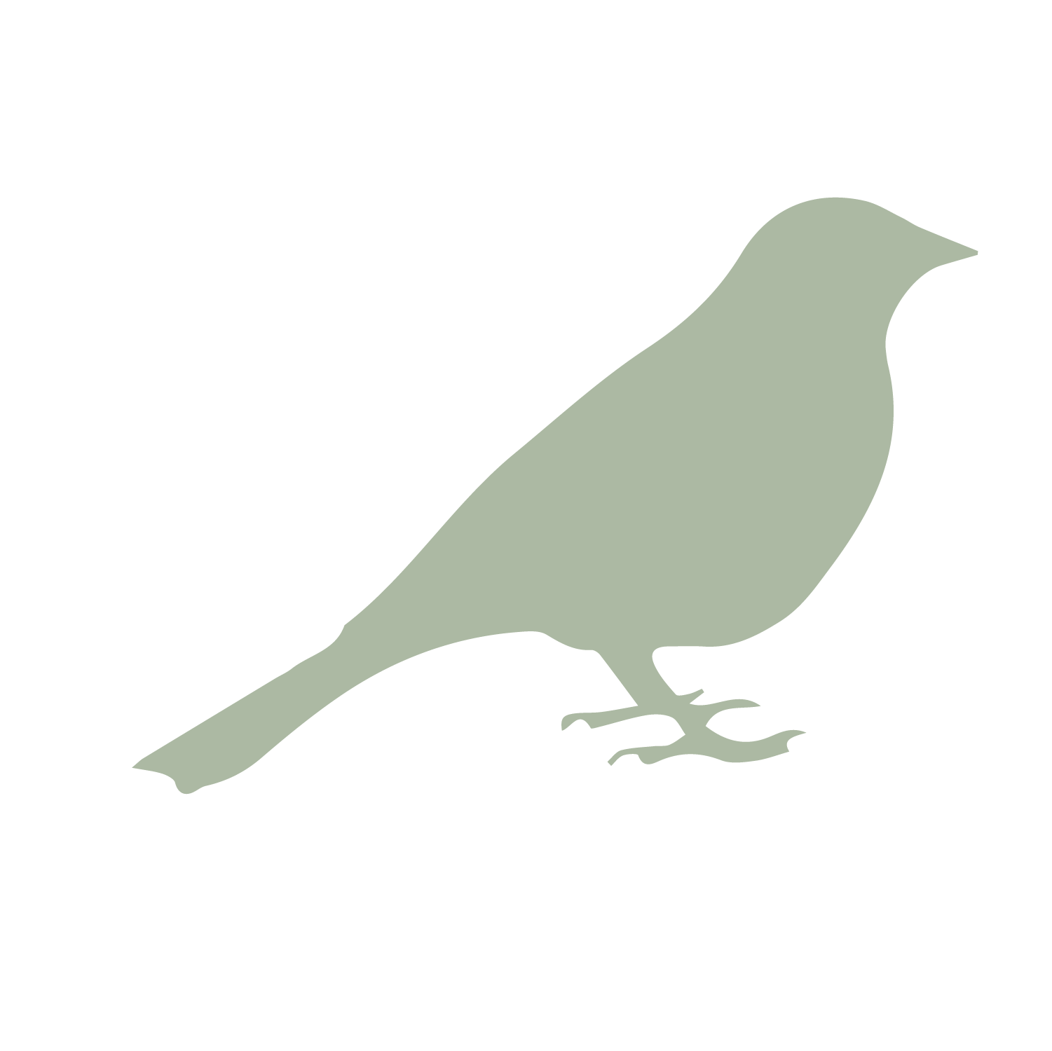 bird-03.png