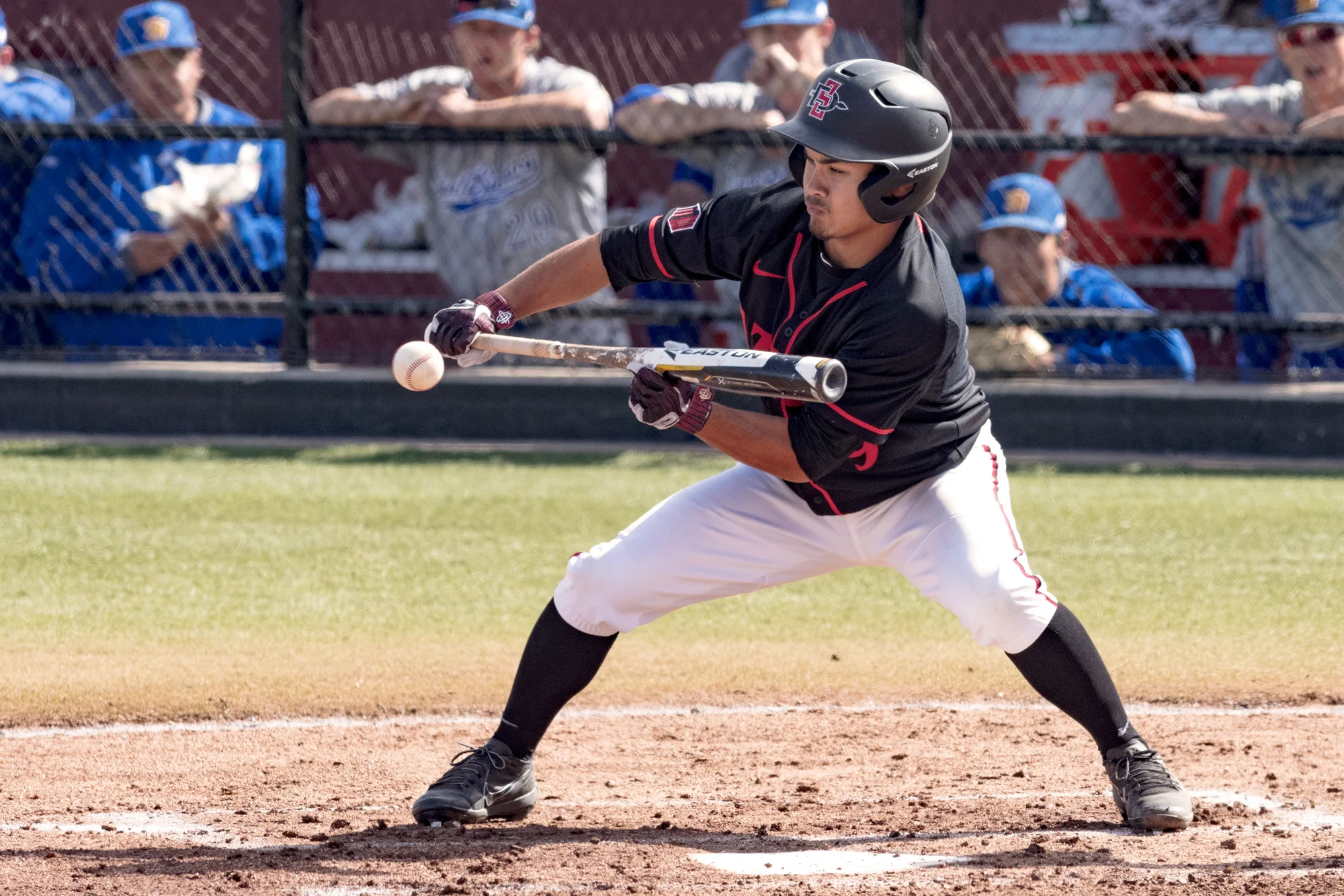 Life Style - Nature-6.JPG