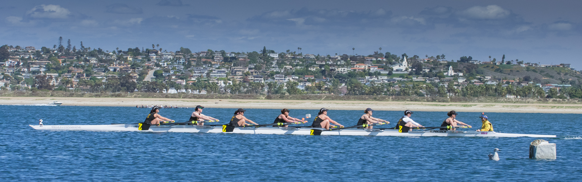 Life Style - Nature-4.JPG